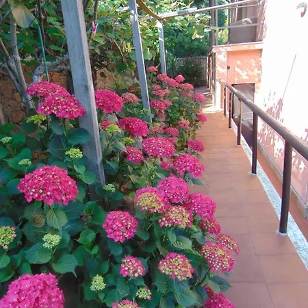 Casa Roberto