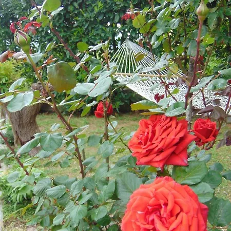 Casa Roberto *