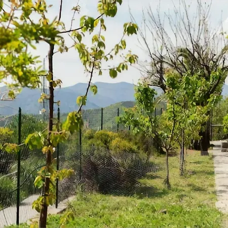 Casa Roberto Bed & Breakfast Savona
